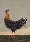Rooster Facing West